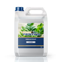 Fertilizante para zamioculcas